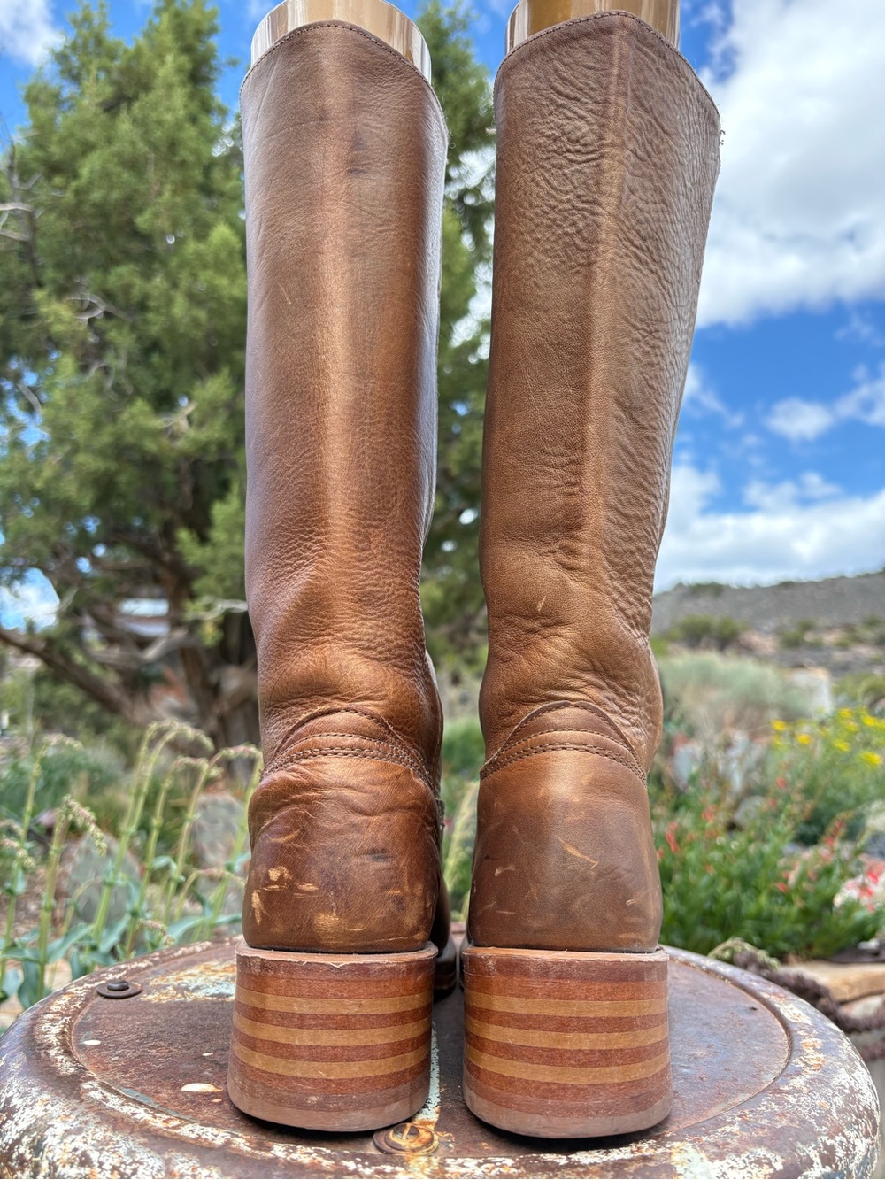 FRYE 🇺🇸 14L Campus Boots Bronzed - Picture 6 of 16